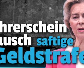 Neuer Führerschein kaufen