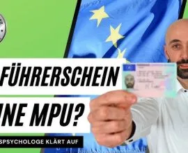 Kaufen europäischen Führerschein