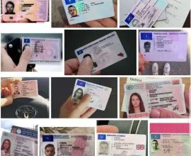 neuen eu Führerschein kaufen