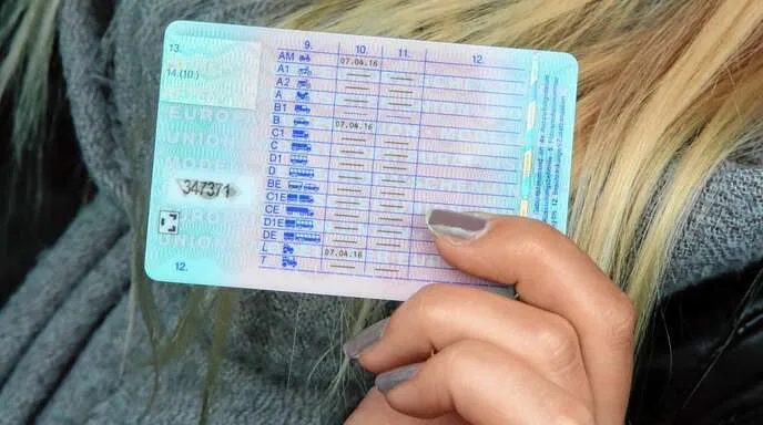 Deutschen Führerschein kaufen neu